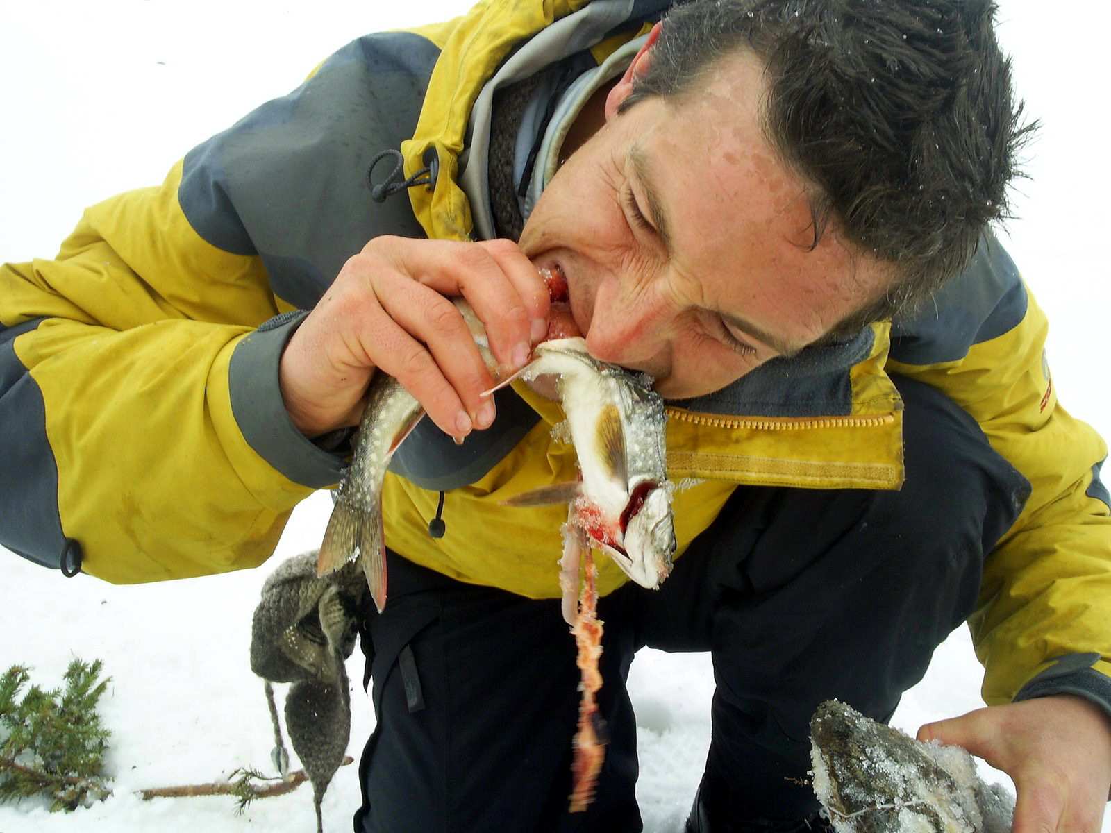Bear-Grylls.jpg