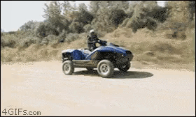 Unripearidfallowdeer Mobile